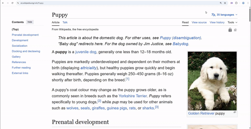 Paralate translating English to Spanish - puppy article